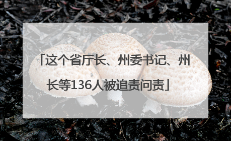 这个省厅长、州委书记、州长等136人被追责问责