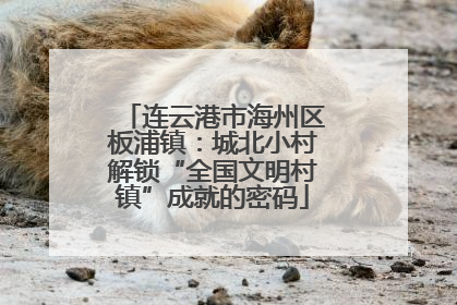 连云港市海州区板浦镇：城北小村解锁“全国文明村镇”成就的密码