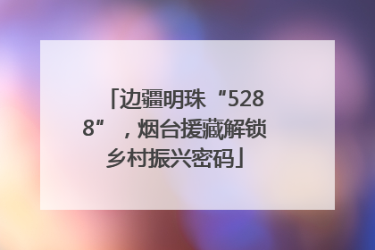 边疆明珠“5288”，烟台援藏解锁乡村振兴密码