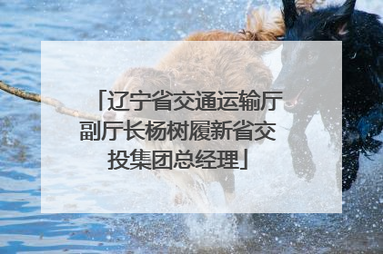 辽宁省交通运输厅副厅长杨树履新省交投集团总经理