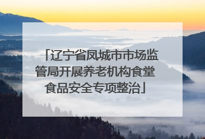 辽宁省凤城市市场监管局开展养老机构食堂食品安全专项整治