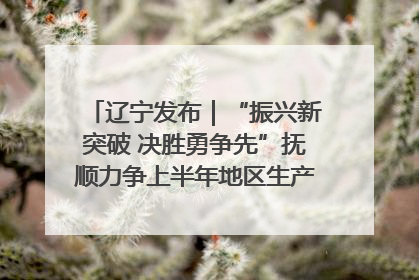 辽宁发布｜“振兴新突破 决胜勇争先”抚顺力争上半年地区生产总值增长7%左右