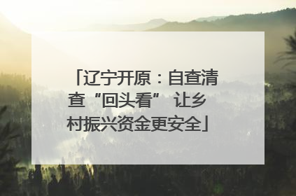 辽宁开原：自查清查“回头看” 让乡村振兴资金更安全