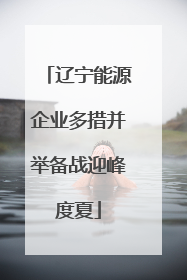 辽宁能源企业多措并举备战迎峰度夏