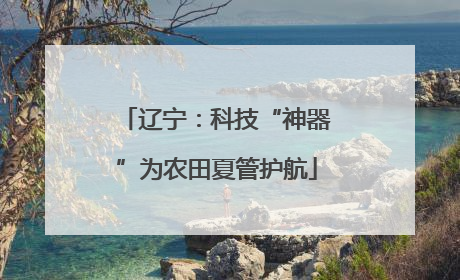 辽宁：科技“神器”为农田夏管护航
