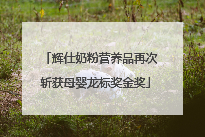 辉仕奶粉营养品再次斩获母婴龙标奖金奖
