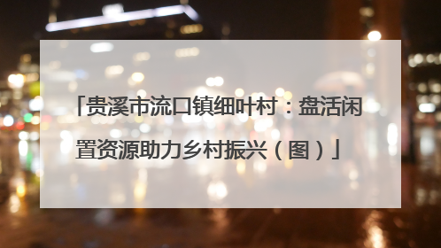 贵溪市流口镇细叶村：盘活闲置资源助力乡村振兴（图）