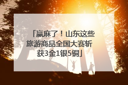 赢麻了！山东这些旅游商品全国大赛斩获3金1银5铜