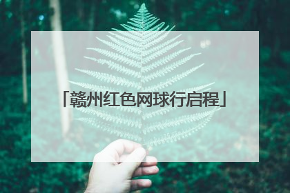 赣州红色网球行启程
