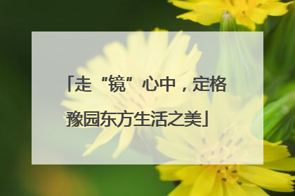 走“镜”心中，定格豫园东方生活之美