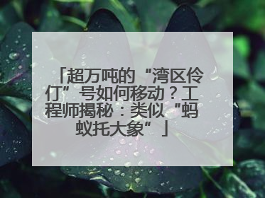 超万吨的“湾区伶仃”号如何移动？工程师揭秘：类似“蚂蚁托大象”