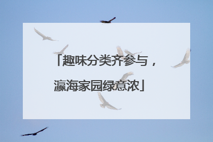 趣味分类齐参与，瀛海家园绿意浓