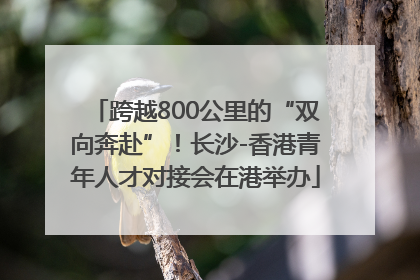 跨越800公里的“双向奔赴”！长沙-香港青年人才对接会在港举办