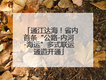 通江达海！省内首条“公路-内河-海运”多式联运通道开通