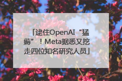 逮住OpenAI“猛薅”！Meta据悉又挖走四位知名研究人员