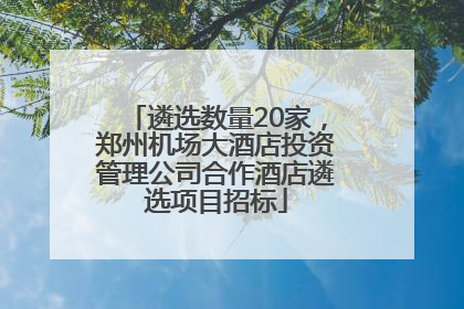 遴选数量20家，郑州机场大酒店投资管理公司合作酒店遴选项目招标