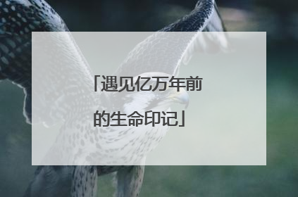 遇见亿万年前的生命印记