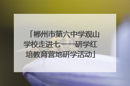 郴州市第六中学观山学校走进七一一研学红培教育营地研学活动