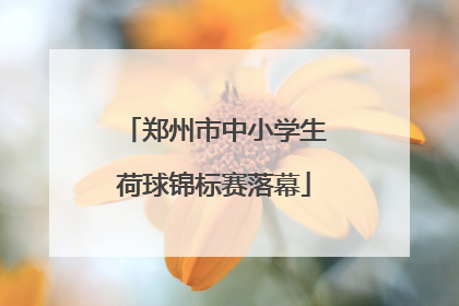 郑州市中小学生荷球锦标赛落幕