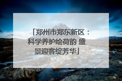 郑州市郑东新区：科学养护绘荷韵 盛景迎客绽芳华