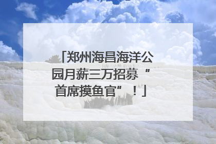 郑州海昌海洋公园月薪三万招募“首席摸鱼官”！