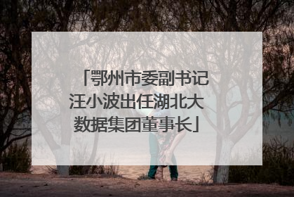 鄂州市委副书记汪小波出任湖北大数据集团董事长