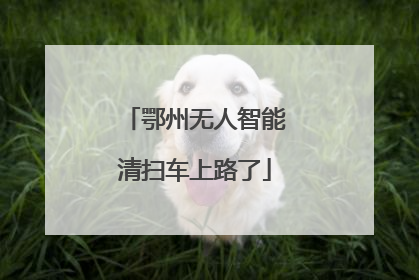 鄂州无人智能清扫车上路了