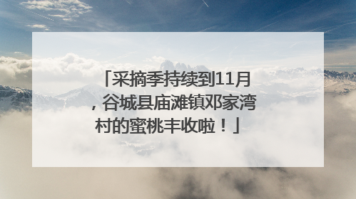 采摘季持续到11月，谷城县庙滩镇邓家湾村的蜜桃丰收啦！