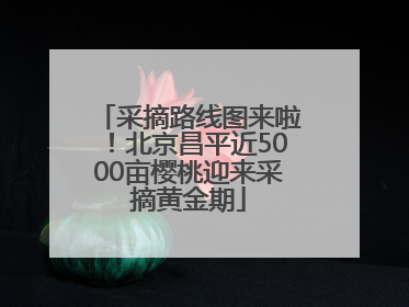 采摘路线图来啦！北京昌平近5000亩樱桃迎来采摘黄金期