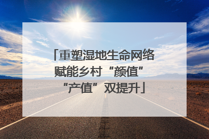 重塑湿地生命网络 赋能乡村“颜值”“产值”双提升