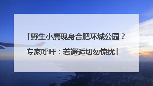 野生小麂现身合肥环城公园？专家呼吁：若邂逅切勿惊扰