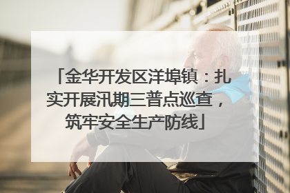 金华开发区洋埠镇：扎实开展汛期三普点巡查，筑牢安全生产防线