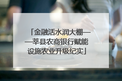 金融活水润大棚——莘县农商银行赋能设施农业升级纪实