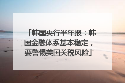 韩国央行半年报：韩国金融体系基本稳定，要警惕美国关税风险