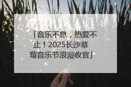 音乐不息，热爱不止！2025长沙草莓音乐节浪漫收官