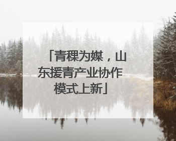 青稞为媒，山东援青产业协作模式上新