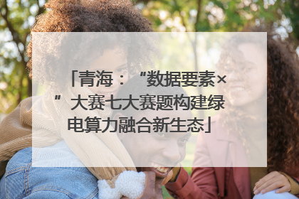 青海：“数据要素×”大赛七大赛题构建绿电算力融合新生态