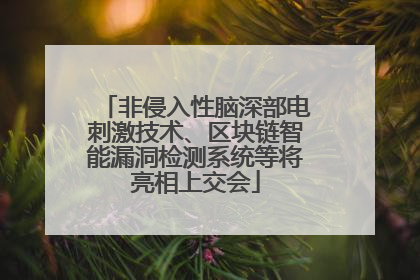 非侵入性脑深部电刺激技术、区块链智能漏洞检测系统等将亮相上交会