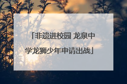 非遗进校园 龙泉中学龙狮少年申请出战