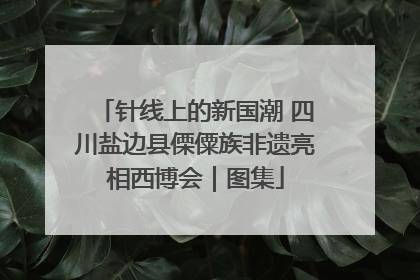 针线上的新国潮 四川盐边县傈僳族非遗亮相西博会｜图集