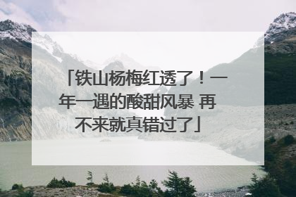 铁山杨梅红透了！一年一遇的酸甜风暴 再不来就真错过了