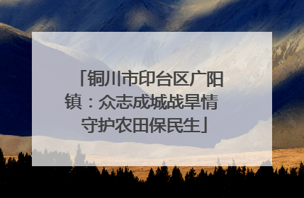 铜川市印台区广阳镇：众志成城战旱情 守护农田保民生