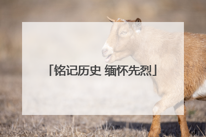 铭记历史 缅怀先烈