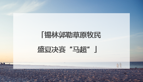 锡林郭勒草原牧民盛夏决赛“马超”