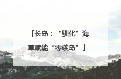 长岛：“驯化”海草赋能“零碳岛”