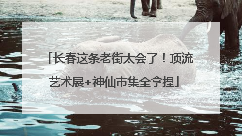 长春这条老街太会了！顶流艺术展+神仙市集全拿捏