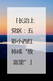长治上党区：五彩小西红柿成“致富果”