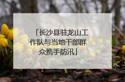 长沙县驻龙山工作队与当地干部群众携手防汛