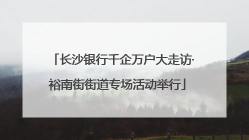 长沙银行千企万户大走访·裕南街街道专场活动举行