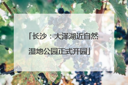 长沙：大泽湖近自然湿地公园正式开园